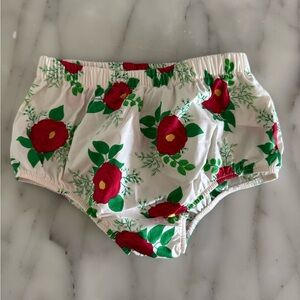 Eleanor Rose Red and Green Diaper Covers with Floral Design